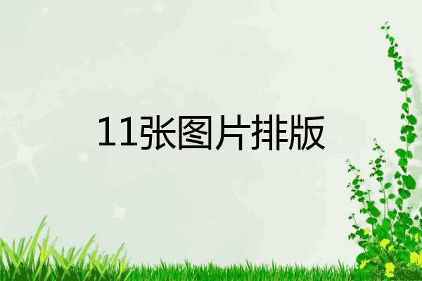 12张图片怎么排版图片