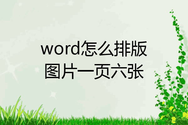 word图片怎么排版整齐图片