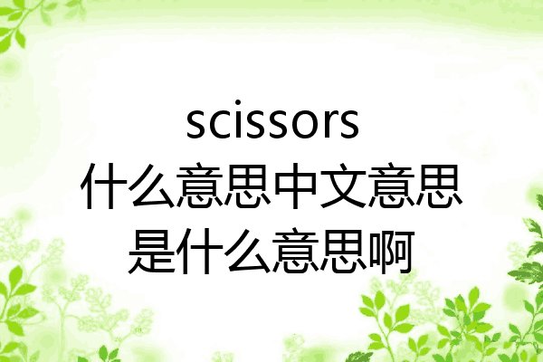 scissors什么意思中文意思是什么意思啊