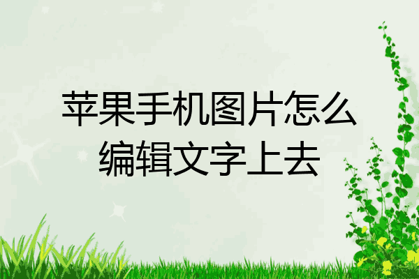 苹果编辑图片文字在哪图片