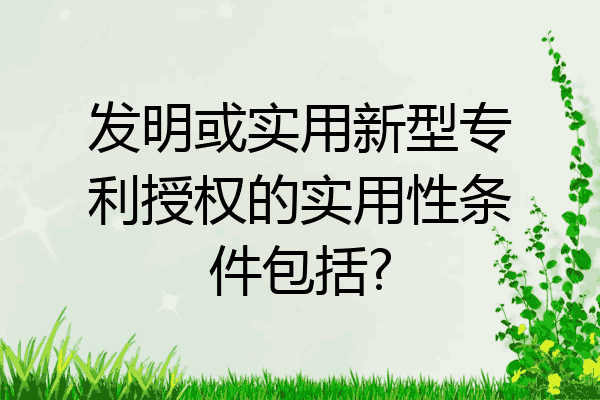 实用性专利有什么用_实用性专利有什么用途