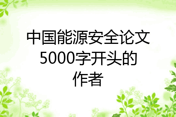 中国能源安全论文5000字开头的作者