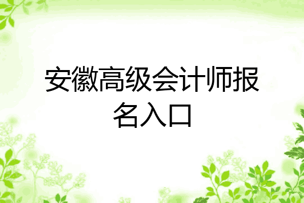 安徽高級會計師報名入口