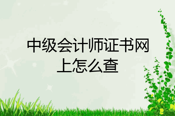 中级会计师证书网上怎么查