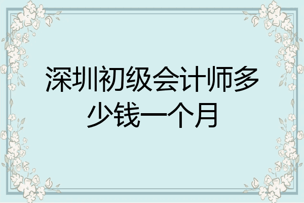 深圳初级会计(深圳初级会计有补贴吗)