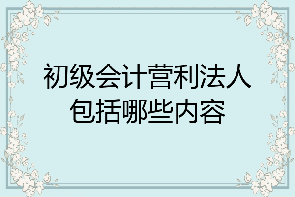 初級會計營利法人包括哪些內容