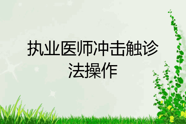 执业医师冲击触诊法操作