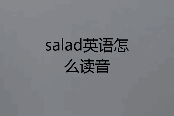 salad怎么读图片