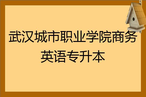 武汉城市职业学院商务英语专升本