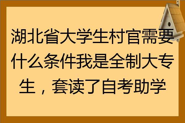 湖北省大學生村官需要什麼條件我是全日制大專生套讀了自考助學