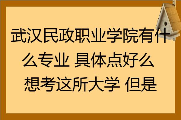 武汉民政职业学院有什么专业 具体点好么 想考这所大学 但是