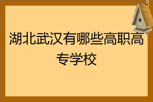 湖北武漢有哪些高職高專學校