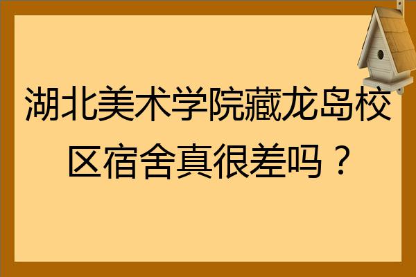 湖北美術學院藏龍島校區宿舍真很差嗎