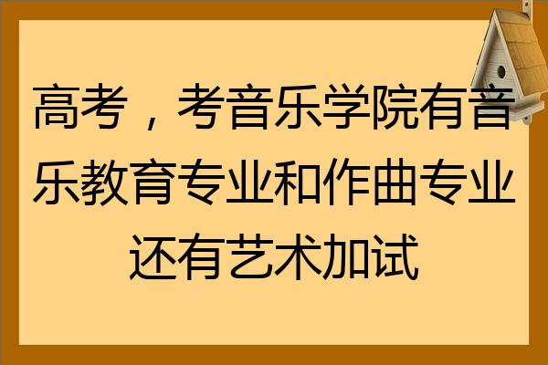 高考,考音乐学院有音乐教育专业和作曲专业还有艺术加试