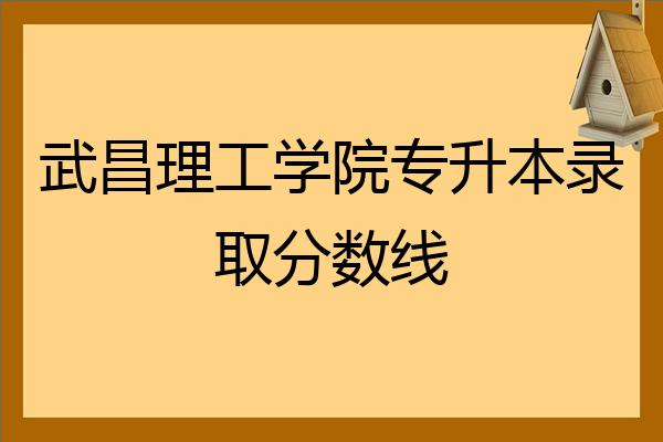 武昌理工學院專升本錄取分數線