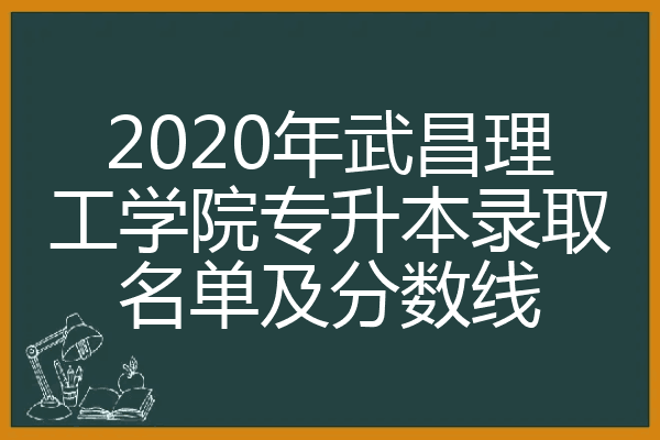 2020年武昌理工學院專升本錄取名單及分數線