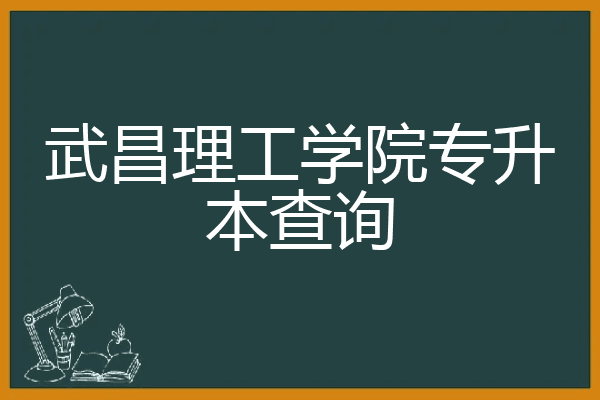 武昌理工学院专升本查询